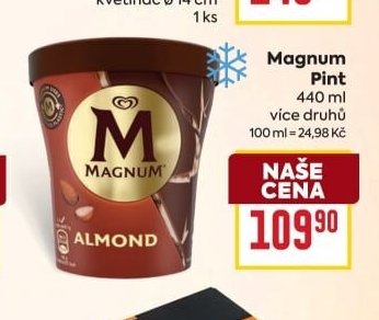 Magnum Pint