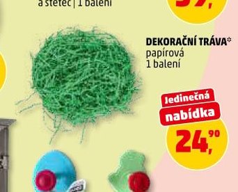 DEKORAČNÍ TRÁVA