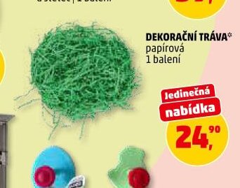 DEKORAČNÍ TRÁVA