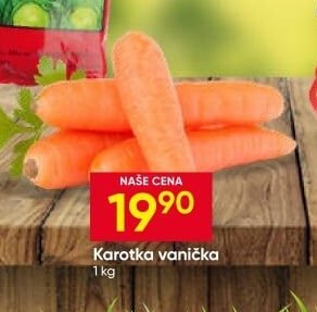 Karotka vanička