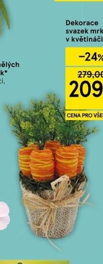 Dekorace svazek mrkve v květináči