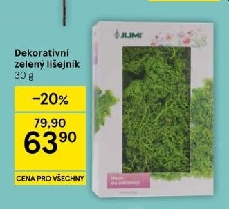 Dekorativní zelený lišejník