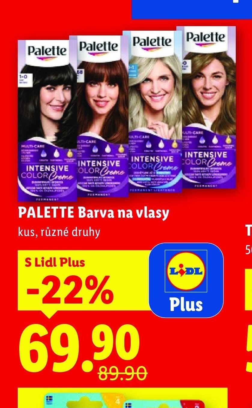 PALETTE Barva na vlasy