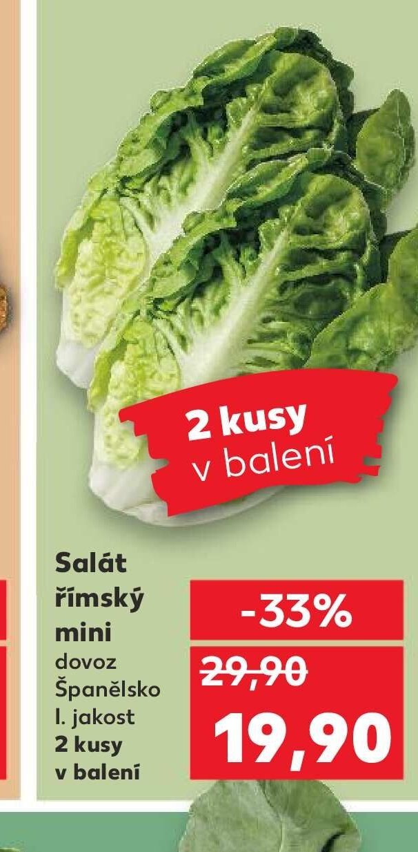 Salát římský mini