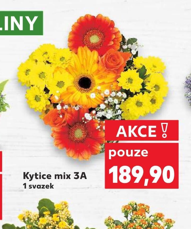 Kytice mix 3A