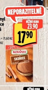 Kotányi Skořice mletá