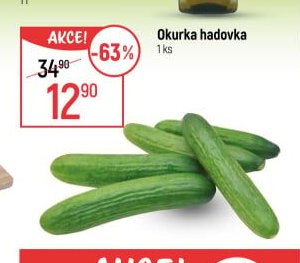 Okurka hadovka