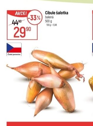 Cibule šalotka