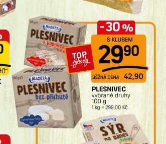 PLESNIVEC