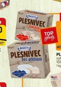 PLESNIVEC
