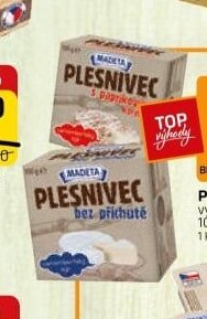 PLESNIVEC