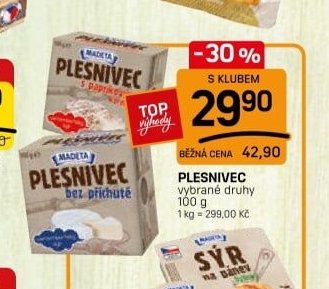 PLESNIVEC