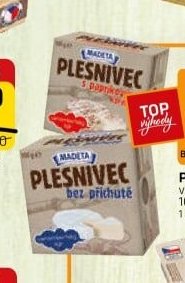 PLESNIVEC