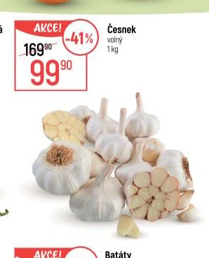 Česnek