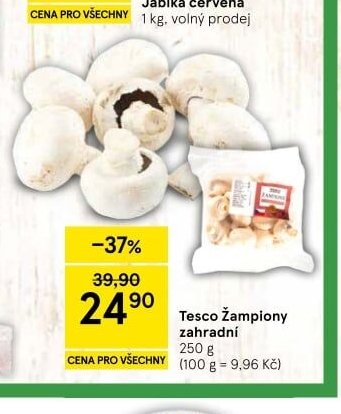 Tesco Žampiony zahradní