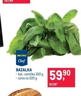 Bazalka