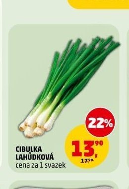 CIBULKA LAHŮDKOVÁ