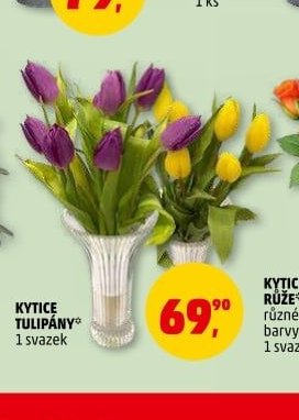 KYTICE TULIPÁNY