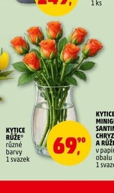 KYTICE RŮŽE
