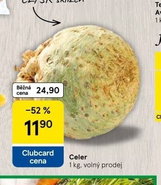 Celer
