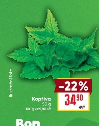 Kopřiva