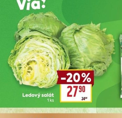 Ledový salát