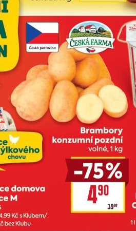 Brambory konzumní pozdní