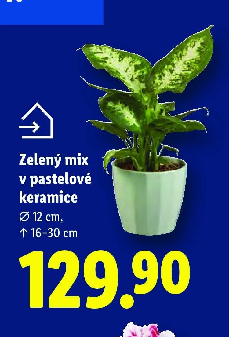 Zelený mix v pastelové keramice