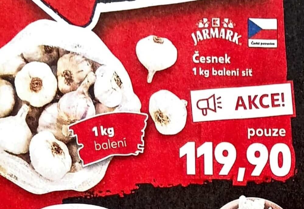 Česnek