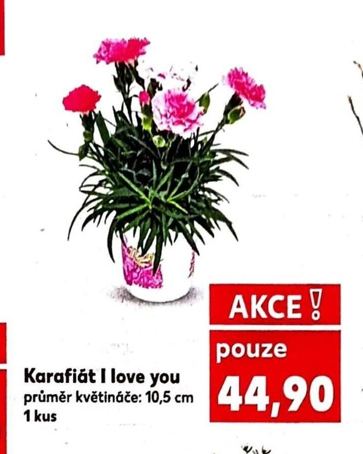 Karafiát I love you