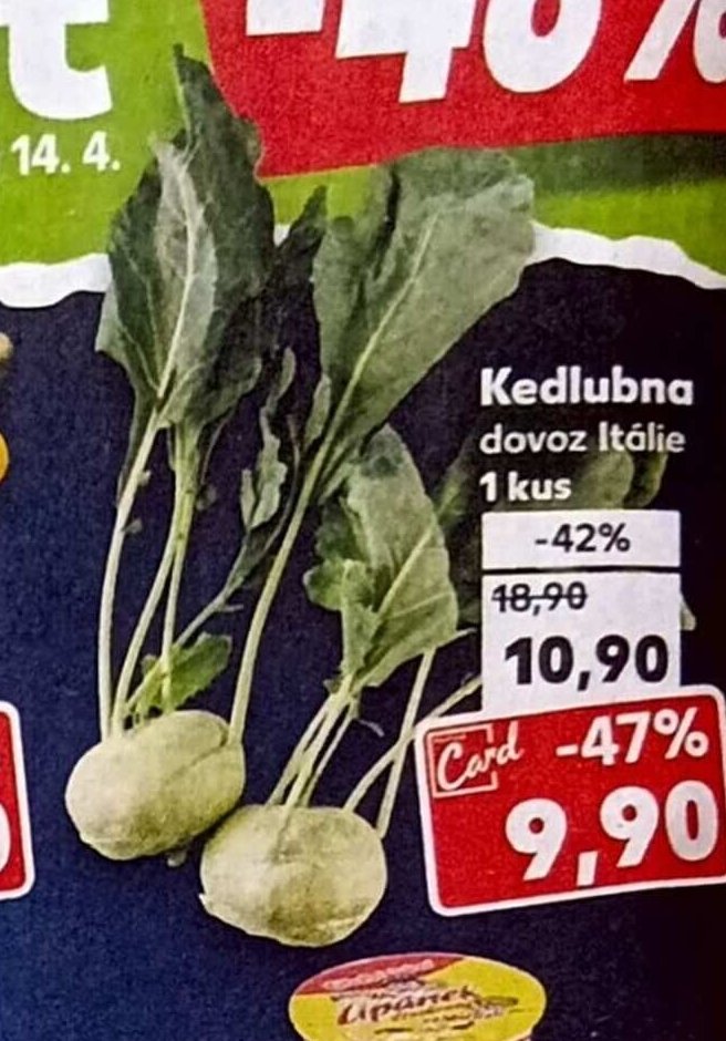 Kedlubna