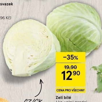 Zelí hlávkové bílé