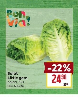 Salát Little gem
