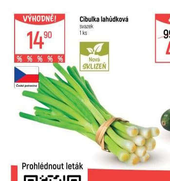 Cibulka lahůdková