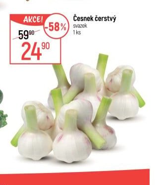 Česnek čerstvý