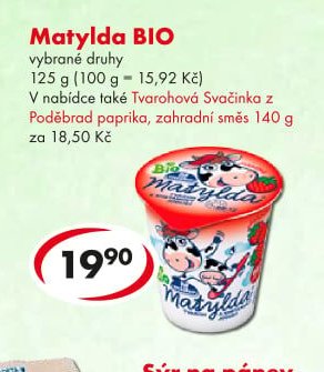 Matylda BIO