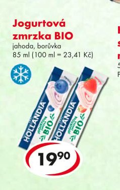 Jogurtová zmrzka BIO