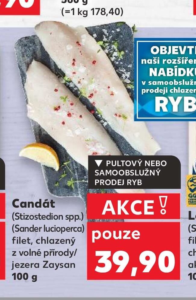 Candát