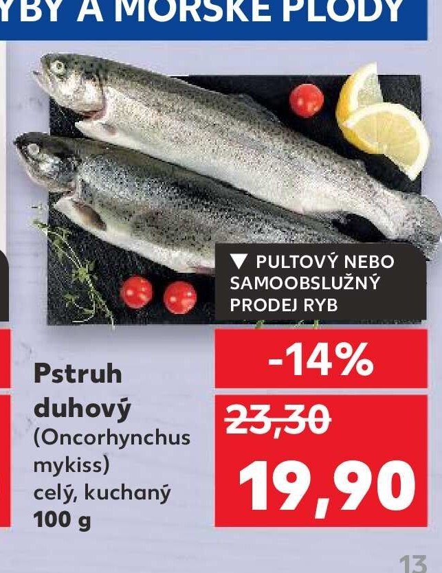 Pstruh duhový