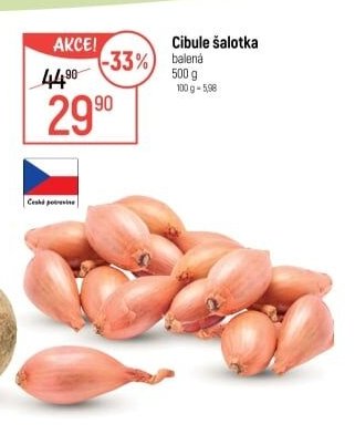 Cibule šalotka