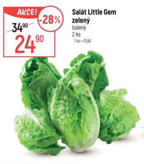 Salát little gem