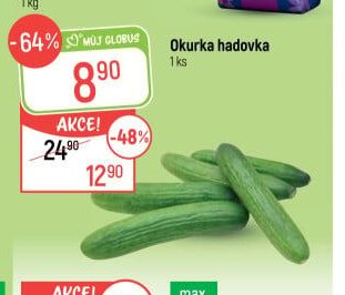 Okurka hadovka