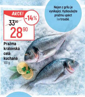 Pražma královská kuchaná