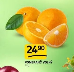 POMERANČ VOLNÝ