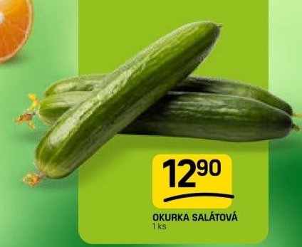 OKURKA SALÁTOVÁ