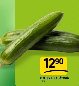 Okurka salátová - hadovka