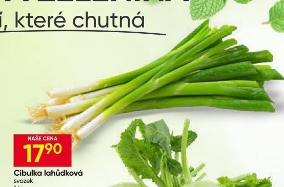 Jarní cibule svazek