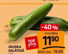 Okurka salátová - hadovka