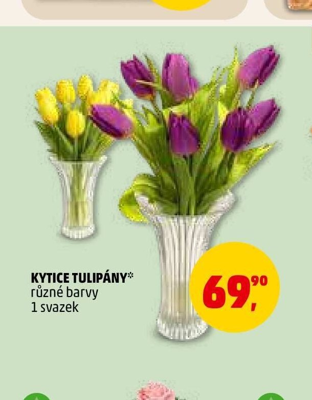 Kytice tulipány