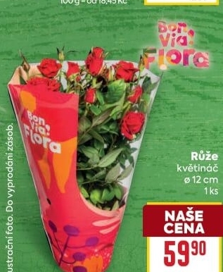 Růže Flora Billa Bonvia